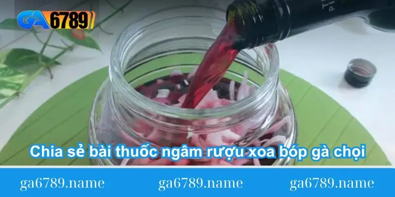chia se bai thuoc ngam ruou xoa bop ga choi ga da
