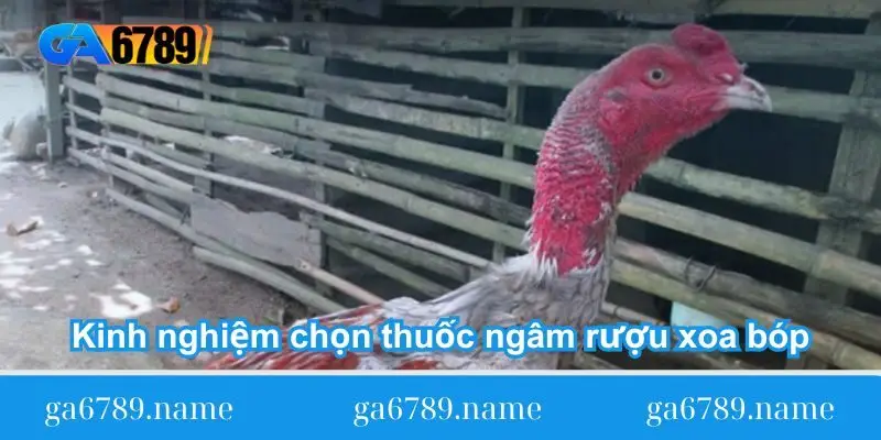 kinh nghiem chon bai thuoc ngam ruou xoa bop