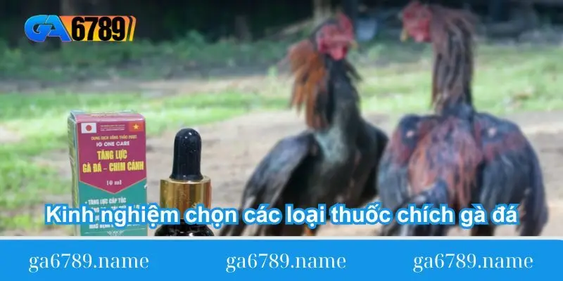 Kinh nghiệm chọn các loại thuốc chích gà đá