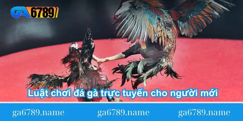 luat choi da ga truc tuyen cho nguoi moi