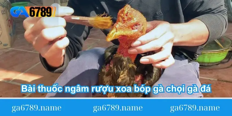 ve bai thuoc ngam ruou xoa bop ga choi ga da